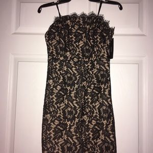 Lulu’s navy and nude sleeveless, body con dress